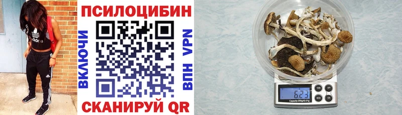 Купить закладки  Кирсанов  Галлюциногенные грибы Psilocybe 